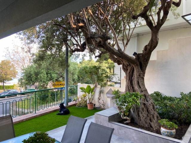 Villa Centaurea Apartment With Private Parking タオルミーナ エクステリア 写真